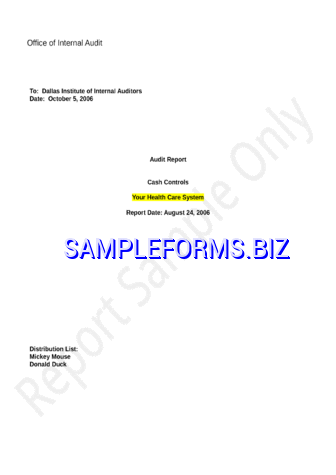Audit Report Template doc pdf free